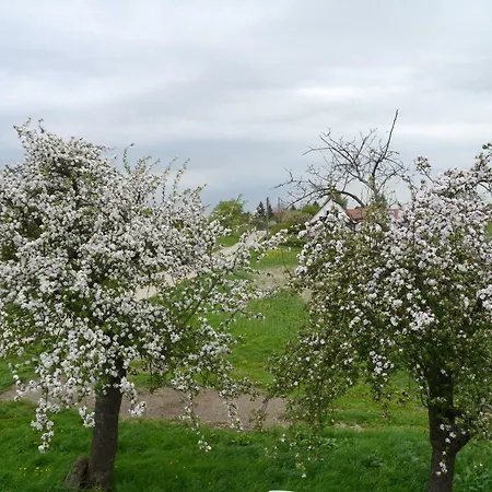 Ferienhaus-uckermarkblick Appartamento Rosenow (Brandenburg)